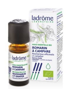 Romarin à camphre (Rosmarinus officinalis ct camphre) BIO, 10 ml